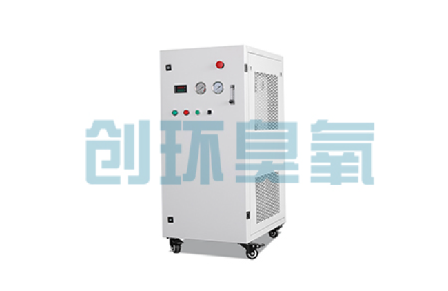 开州比传统换水更高效?臭氧发生器在石斑鱼养殖中的水质净化原理解析